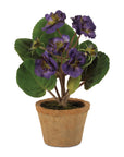 Floral in Terra Cotta Pot (Set of 2)