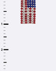 1E7C9FFA751AEB4A8A2E45F5D2D7788C/19406535_273eade6-460a-4051-8d0e-87e4bb64dd9f.jpg