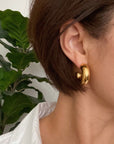 Polished Hollow Daily Hoop Earrings