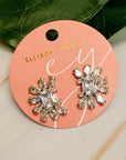 Shine Crusted Jewel Stud Earrings