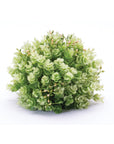 Foliage Half Orb (Set of 2)