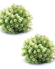 Foliage Half Orb (Set of 2)