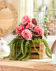 Geranium Floral Bush (Set of 2); Pink