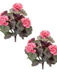 Geranium Floral Bush (Set of 2); Pink