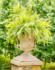 Park Hill | Aged Estate Urn