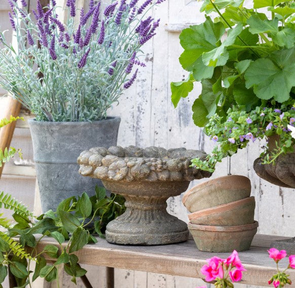 Park Hill | Dellarobia Garden Bowl
