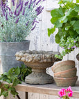 Park Hill | Dellarobia Garden Bowl - My Pampered Life Seattle