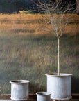 Park Hill | Footed Creamery Tank Planter, Medium