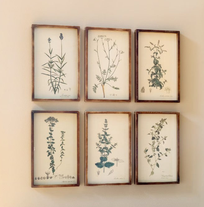 Park Hill | Collected Botanical Framed Prints, Set of 6