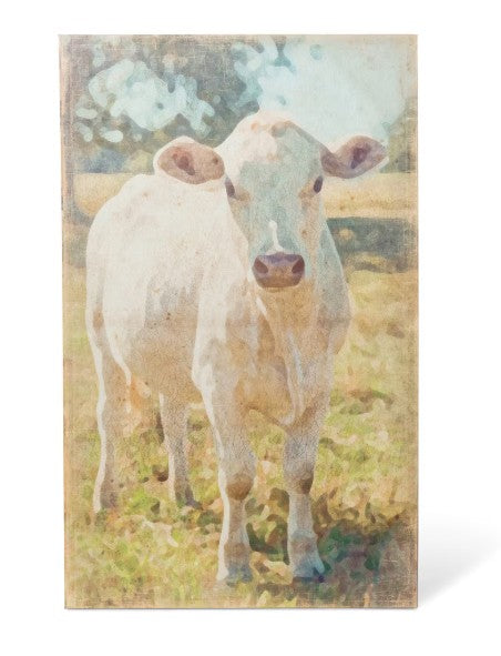 Park Hill | Charolais Cow Canvas Print
