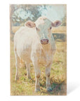 Park Hill | Charolais Cow Canvas Print