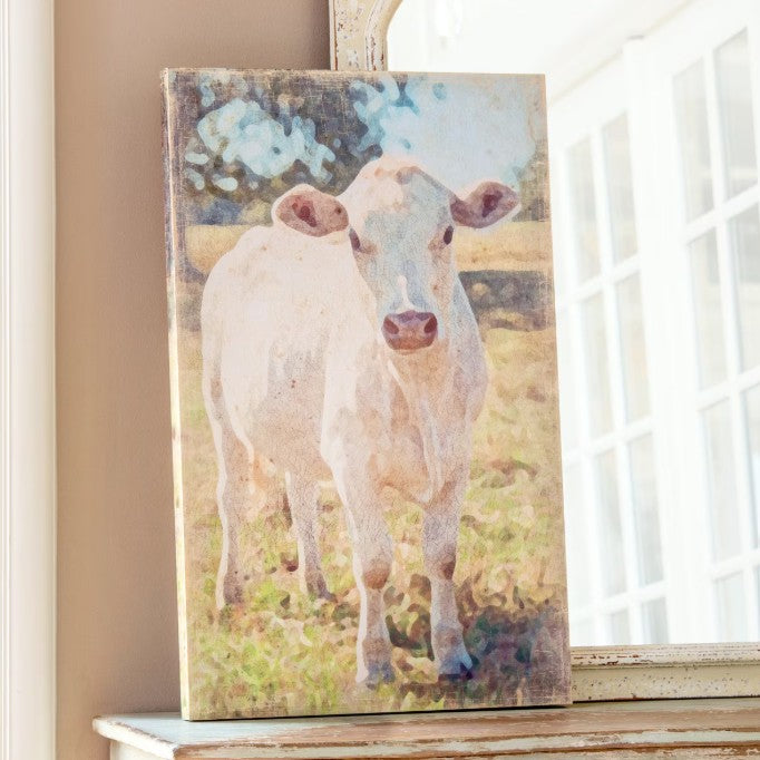 Park Hill | Charolais Cow Canvas Print