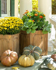 Park Hill |Reclaimed Wood Medallion Planters Set of 2