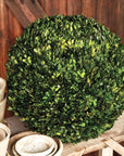 Park Hill |Preserved Boxwood Ball, 21" - My Pampered Life Seattle