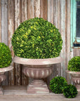 Park Hill |Preserved Boxwood Ball, 21" - My Pampered Life Seattle