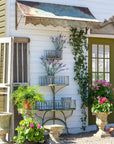 Park Hill |Iron Conservatory Tiered Shelf