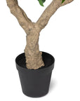 Park Hill | Faux Orange Tree with Weighted Black Pot, 98" - My Pampered Life Seattle
