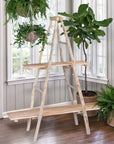 Park Hill | Natural Ladder Display Shelf - My Pampered Life Seattle