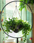 Park Hill | Spherical Iron Plant Stand - My Pampered Life Seattle