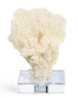 Park Hill |Maldives Faux Coral Accent, Small