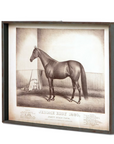 Park Hill Prized Race Horse Framed Prints – Set of 6