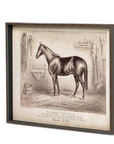 Park Hill Prized Race Horse Framed Prints – Set of 6