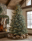 Park Hill Montana Spruce Tree, Multi Function w/ Soft Twinkle, 12'H