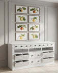 Park Hill | Vine Hill Counter