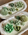 Arizona Dream Cactus Garden Candle — Sculptural Soy Wax in Carved Wood Bowl