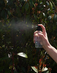 Lavender Hydrosol - My Pampered Life Seattle