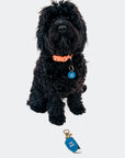 Gus & Co - Dog Tag and Keychain Set - My Pampered Life Seattle