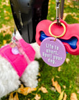 Gus & Co - Dog Tag and Keychain Set - My Pampered Life Seattle