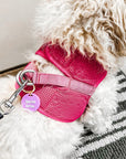 Gus & Co - Dog Tag and Keychain Set - My Pampered Life Seattle