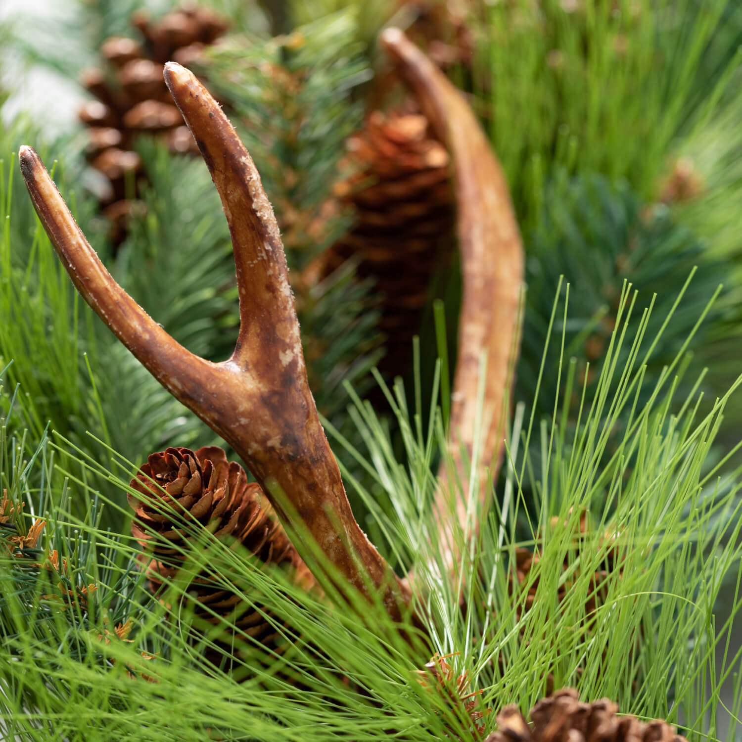 Pine Cone &amp; Antler Wreath - Online Only