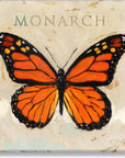 Darren Gygi Monarch Butterfly Wall Art 36x36 - Online Only