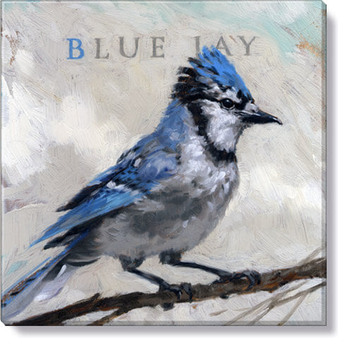 Darren Gygi Home Blue Jay Wall Art 36x36 - Online Only