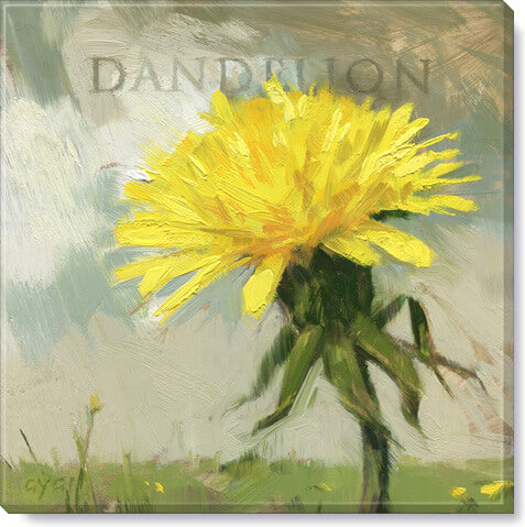 Darren Gygi Dandelion Wall Art 36x36 - Online Only