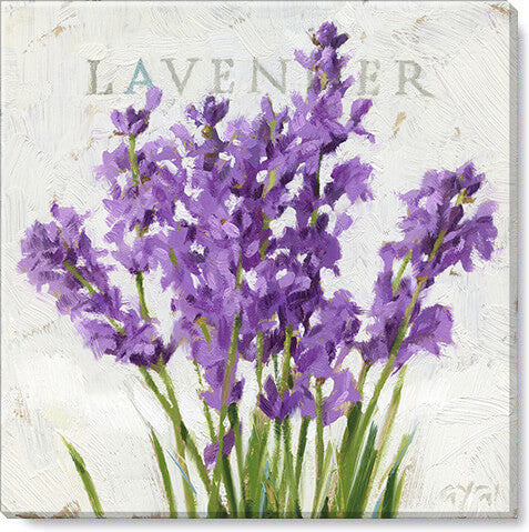 Darren Gygi Lavender Wall Art 36x36 - Online Only