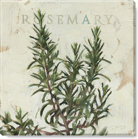 Darren Gygi Rosemary Wall Art 36x36 - Online Only