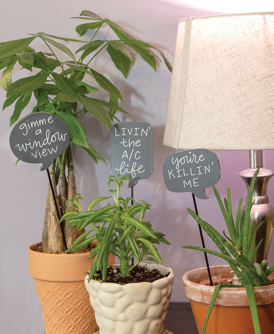 House Plant Stakes with Sayings
