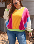 Plus Size Colorblock Patchwork Exposed Sweatshirt