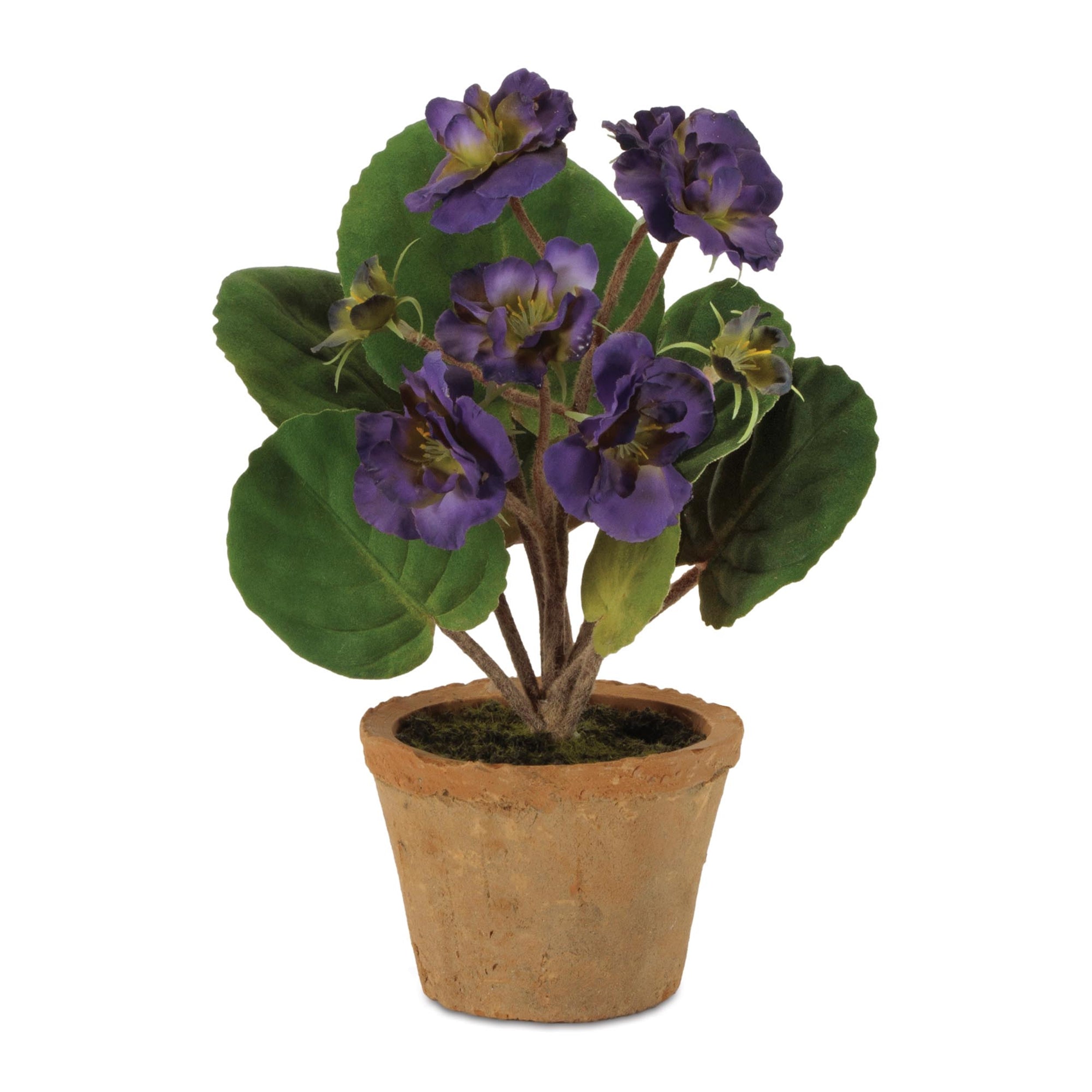 Floral in Terra Cotta Pot (Set of 2)