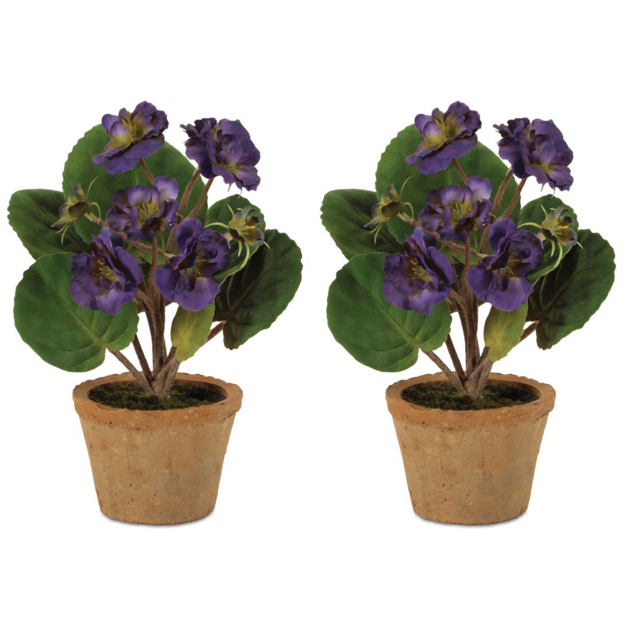 Floral in Terra Cotta Pot (Set of 2)