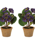 Floral in Terra Cotta Pot (Set of 2)