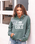 Plus Size I Am Freaking Cold Softstyle Hoodie