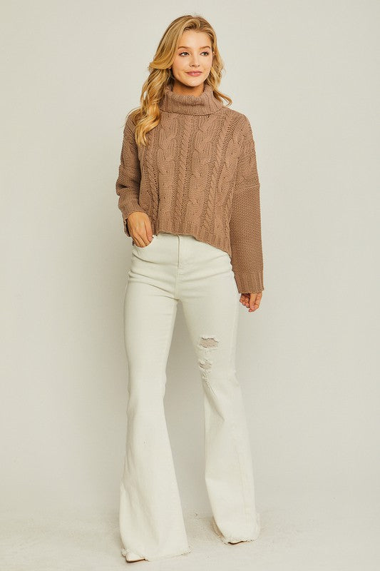 Soft and Classic Turtle Neck Sweater