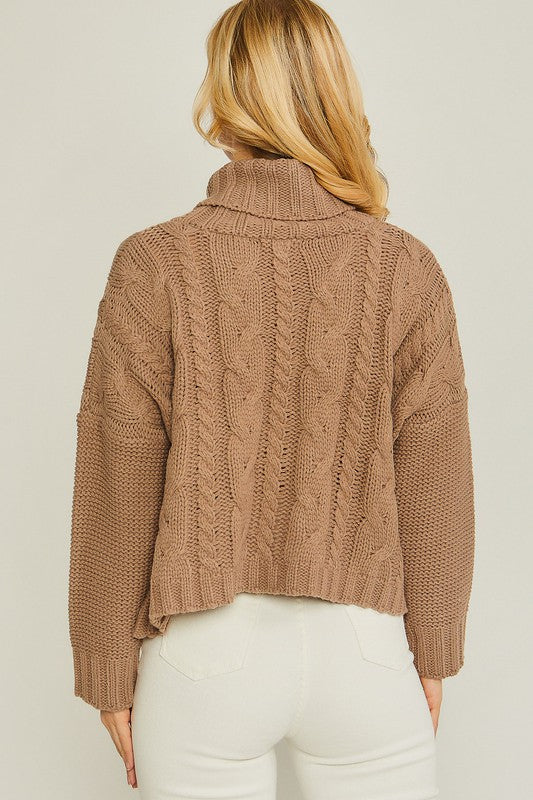 Soft and Classic Turtle Neck Sweater