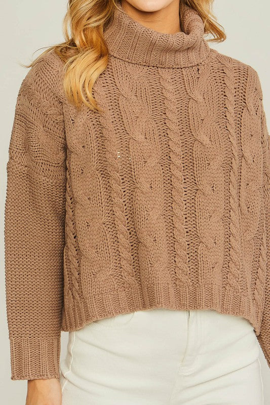 Soft and Classic Turtle Neck Sweater