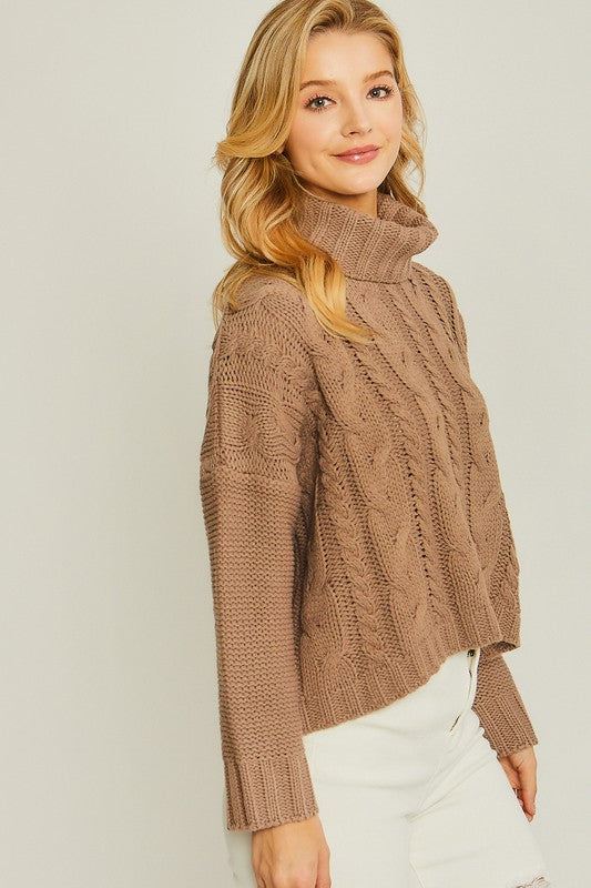 Soft and Classic Turtle Neck Sweater