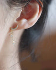 14K Gold Luna Zircon Drop Earring